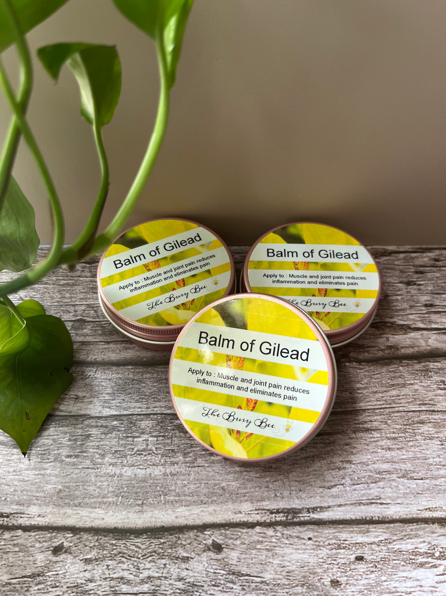 Balm of Gilead