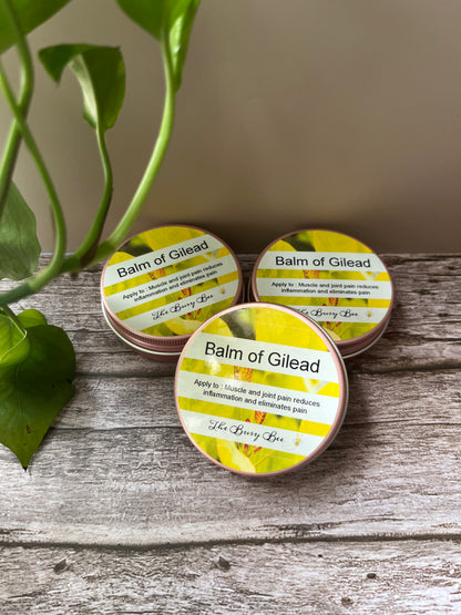 Balm of Gilead